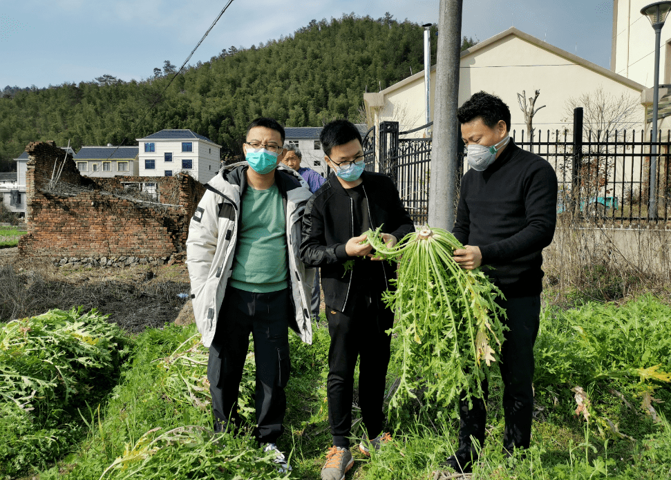 伽师县推出全新气象管家，农田小气候站助力农业精细化发展