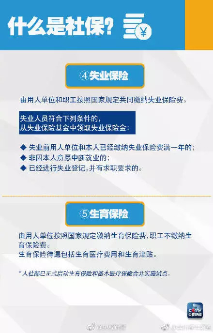 社保缴纳指南，不上班能否交社保？新城市新工作如何转回老家社保？全面解析