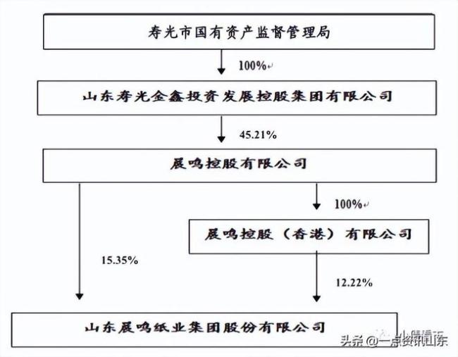 晨鸣纸业面临债务逾期及银行账户被冻结的挑战