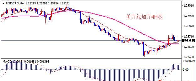 美元兑加元USD/CAD短线走低，加拿大CPI数据高于预期——深度解析市场动态