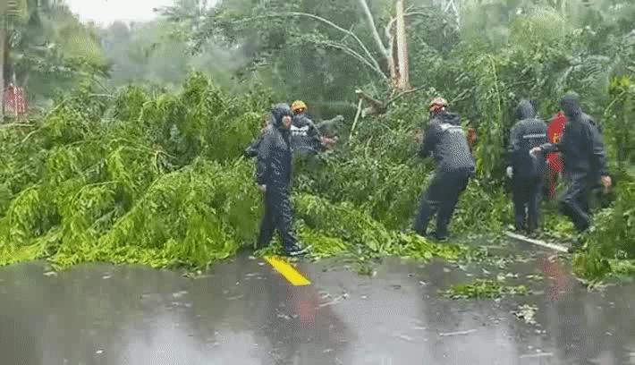 这些市县或出现海水倒灌！海南发布海浪、风暴潮黄色警报，我们该如何应对？