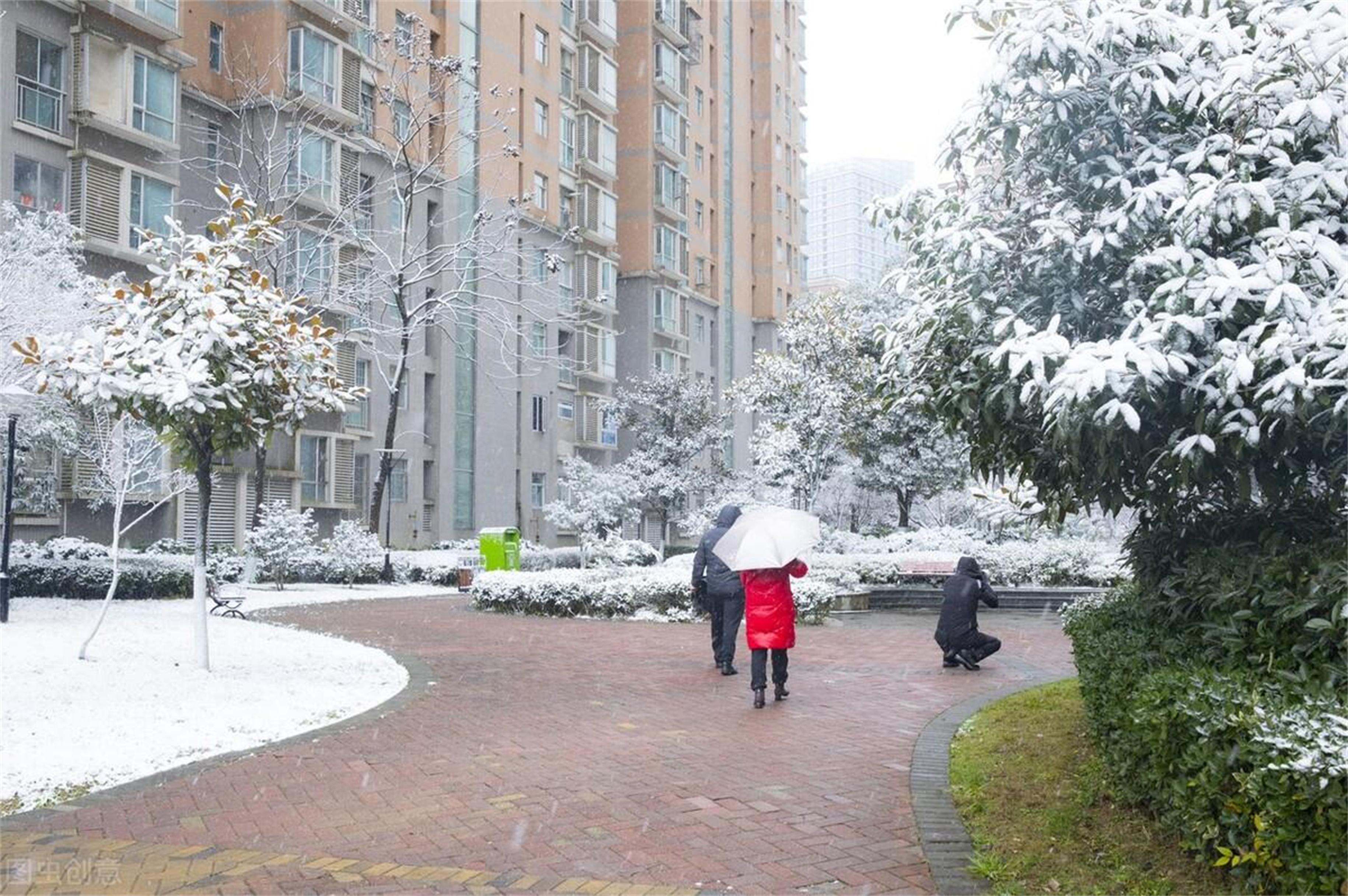 第一场雪要来了！山东再迎强冷空气，最新天气预报揭示降温降雪双重打击