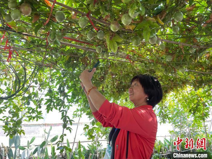 宁夏固原农特产品亮相上海——打响六盘山冷凉蔬菜区域公用品牌知名度