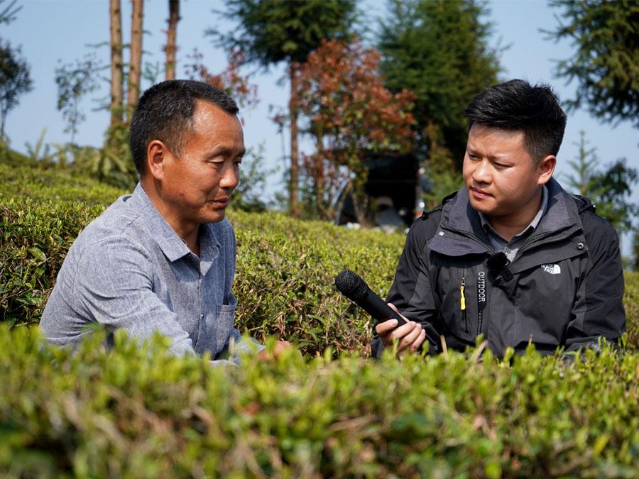 贵州岑巩，以茶育人创特色，悠悠茶韵伴成长