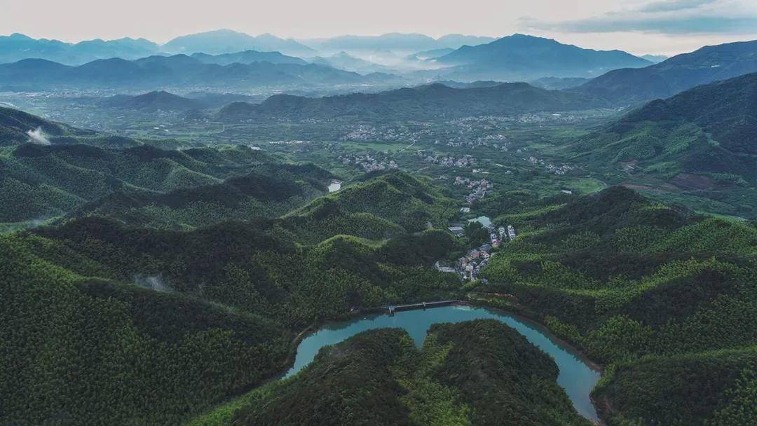 贵州剑河，林药共生，青山变金山