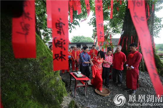 喜镇苏庄，连理树下婚礼的浪漫与喜文化的力量，让古村落焕发新生