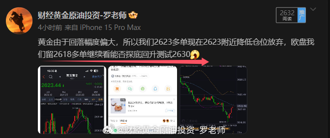 现货黄金突破2630美元/盎司，市场走势分析与投资者应对策略