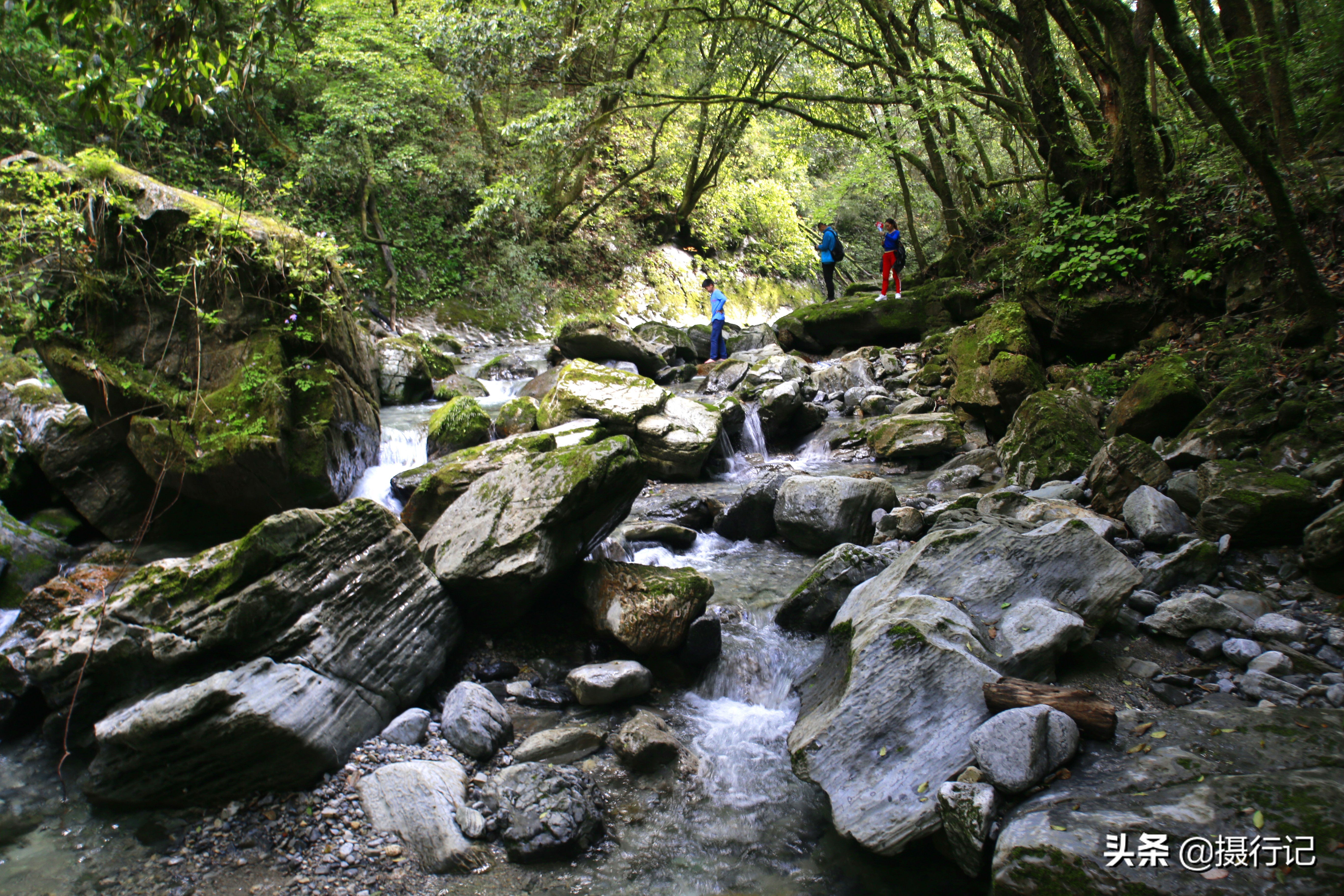 湖北五峰后河自然保护区惊艳呈现限定版风景