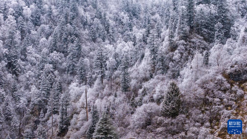 官鹅沟雪后美如画