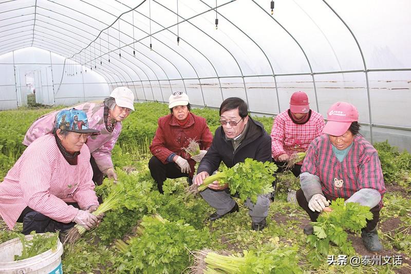 泰州市姜堰区白米镇，文明实践绘新景，塑造美好新风尚