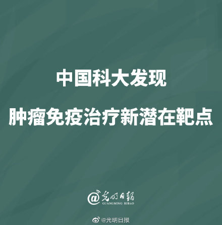 中美科研人员携手揭示胰腺癌治疗新希望，发现潜在治疗靶点