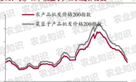 农产品批发价格走势分析，聚焦农产品批发价格200指数的微妙变化