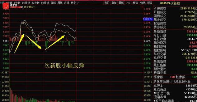 能源金属板块异动拉升，赣锋锂业涨停——探寻背后的驱动力