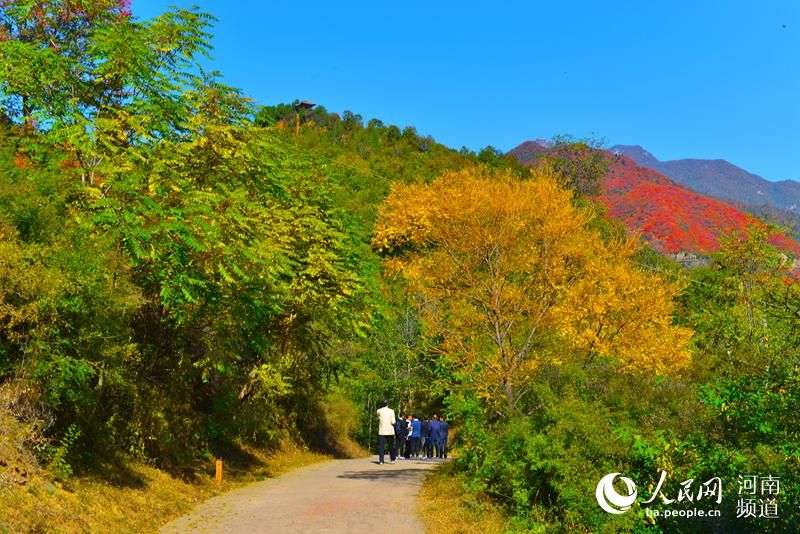 北京将建四个森林步道，探索自然的新纪元